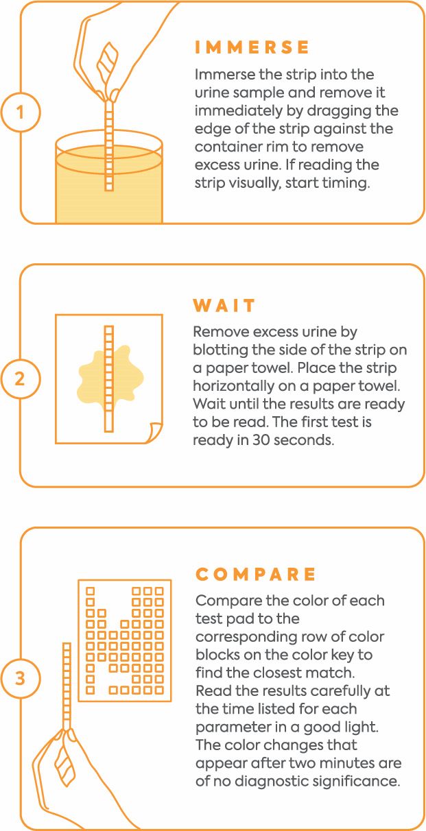 Urinalysis for Pets How AtHome Urine Testing Can Benefit Your Pet’s